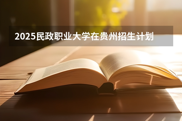 2025民政职业大学在贵州招生计划人数汇总